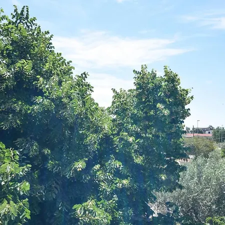 2 Bedroom Amazing In Sellia Marina
